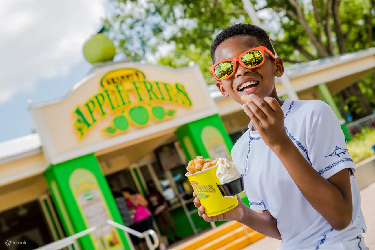 LEGOLAND Florida Tickets Klook