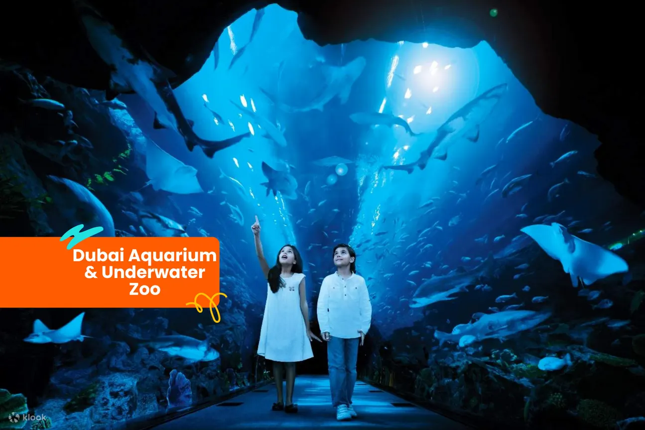 杜拜水族馆＆水下动物园