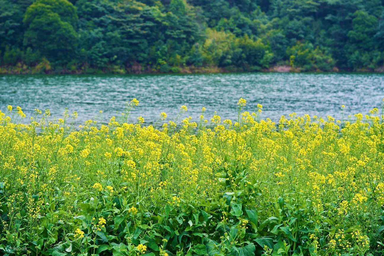 广州石门国家森林公园