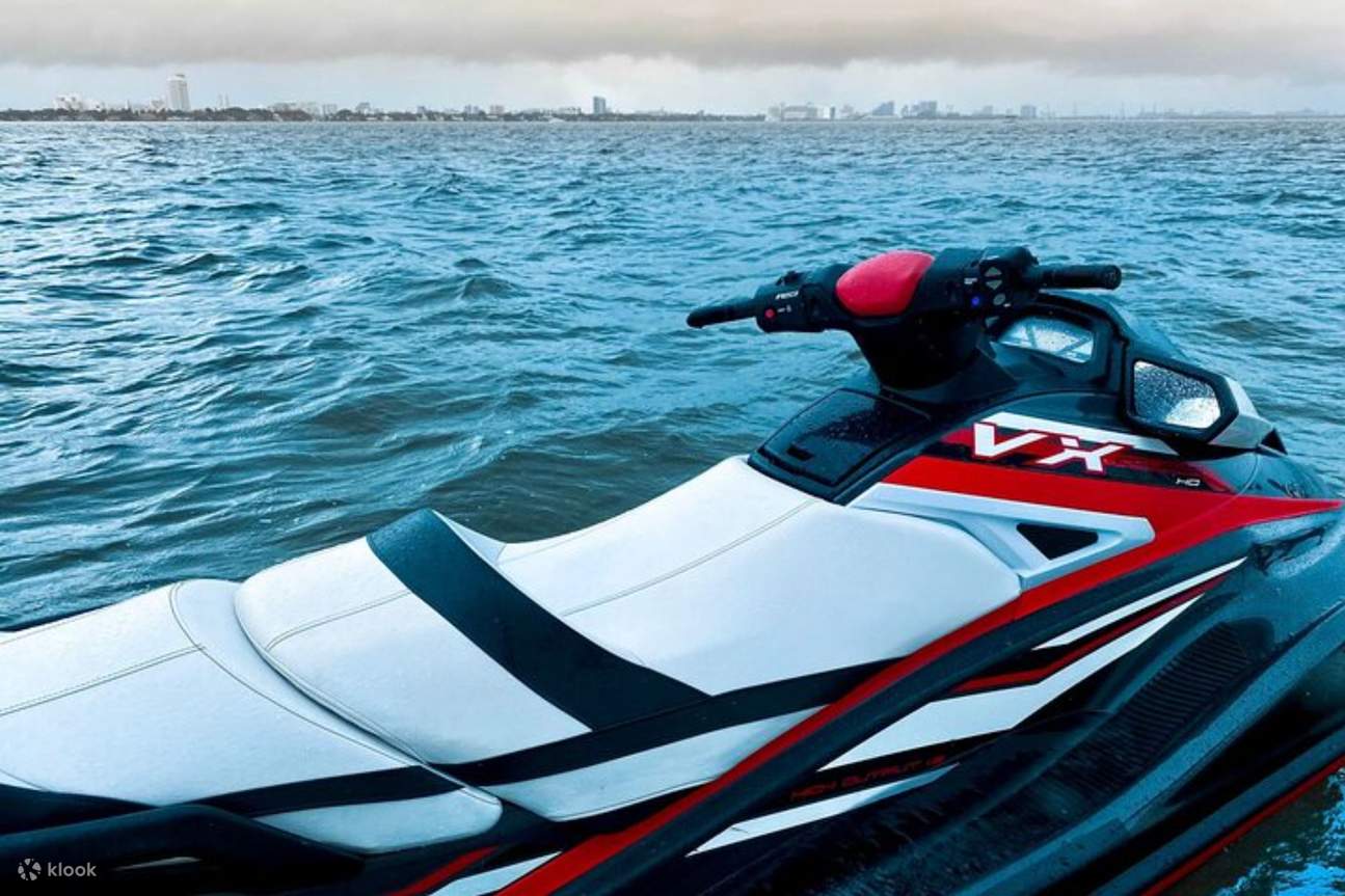 Admire the opulent waterfront estates that line the picturesque coastline of Biscayne Bay