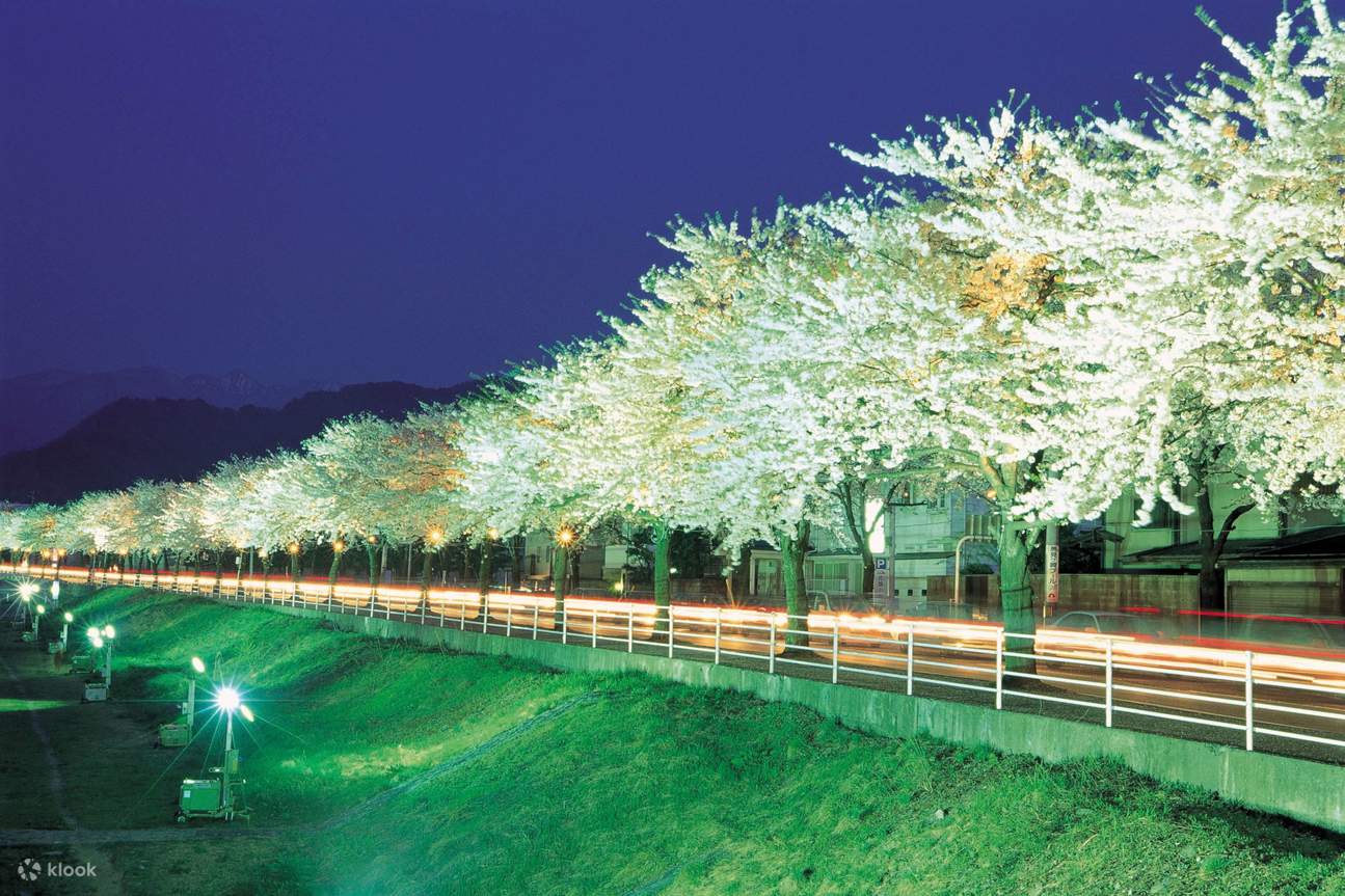さくらスカイライド：オープントップバスで山形の桜を満喫 | Klook
