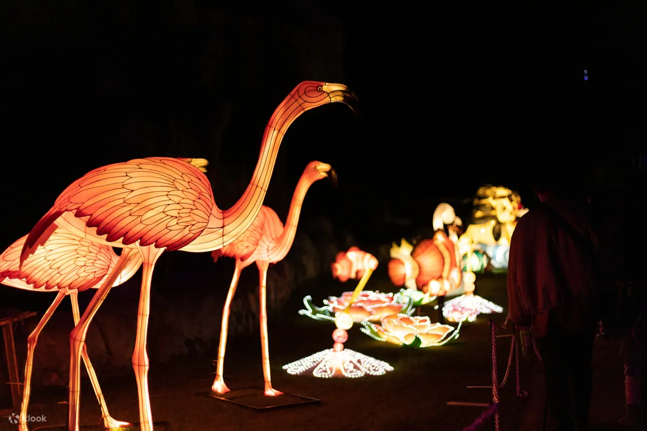 Okinawa Zoo & Museum Christmas Fantasy Ticket