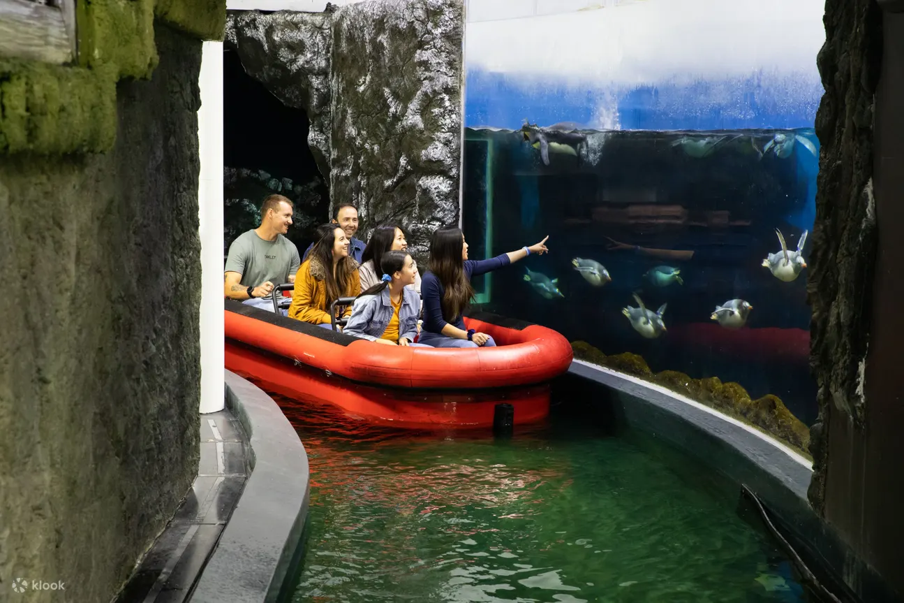 雪梨水族馆 - 雪梨水族馆巴布亚企鹅