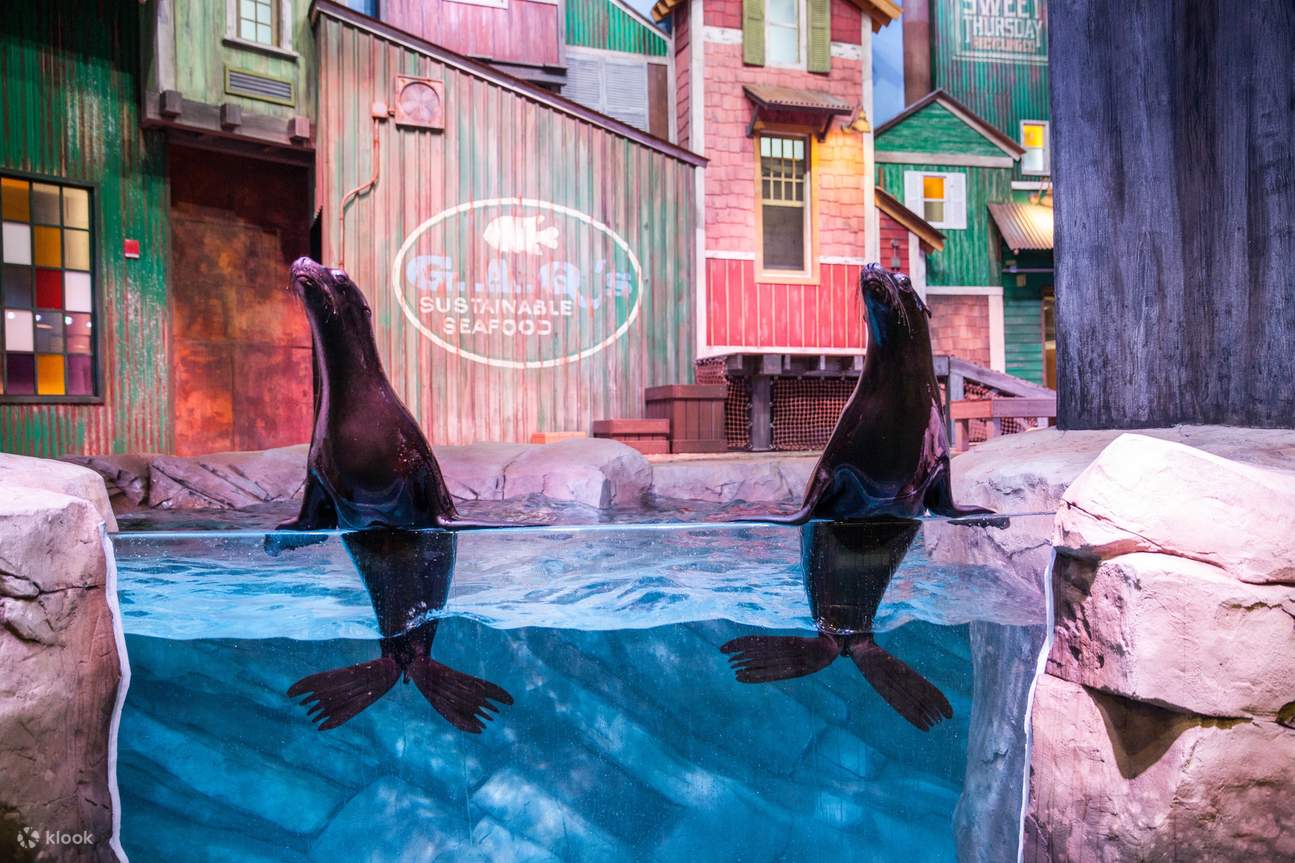 Aquarium Admission in Atlanta Klook客路