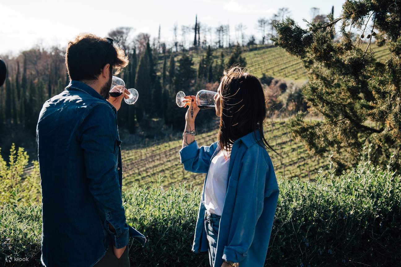Полюбуйтесь живописными виноградниками, где выращивают одни из лучших сортов винограда в Италии.