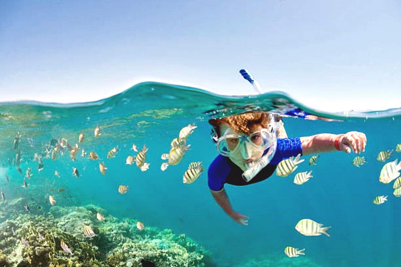 Sahl Hasheesh: Diving or Snorkeling Boat Trip with Lunch