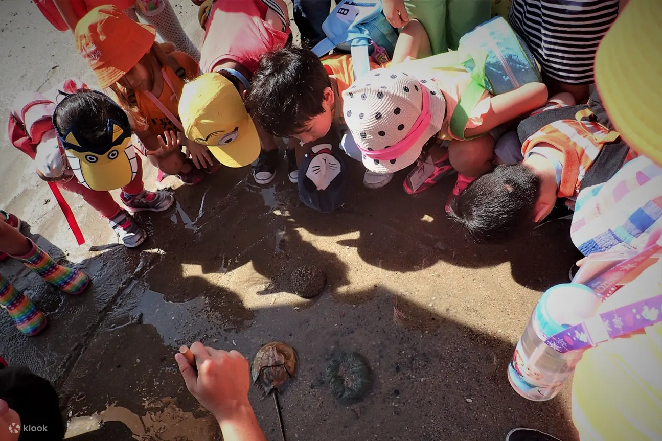 新加坡野生动物之旅