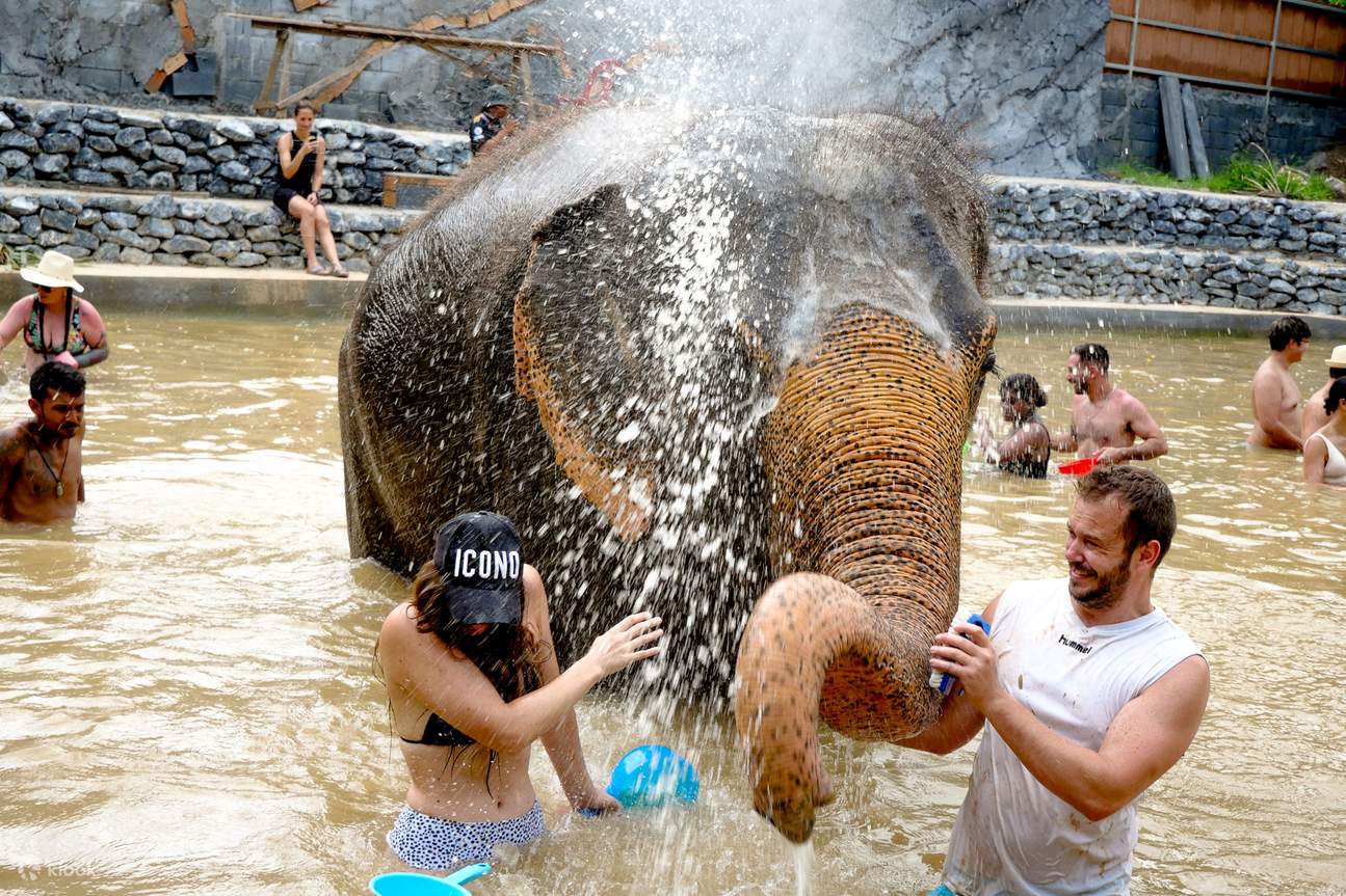 Pengalaman di Aonang Elephant Sanctuary