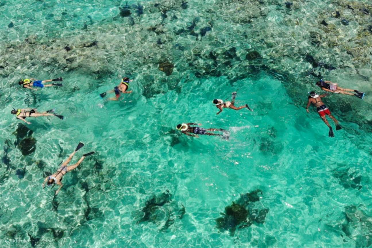 Key West Sightseeing Bus Tour from Miami - Klook