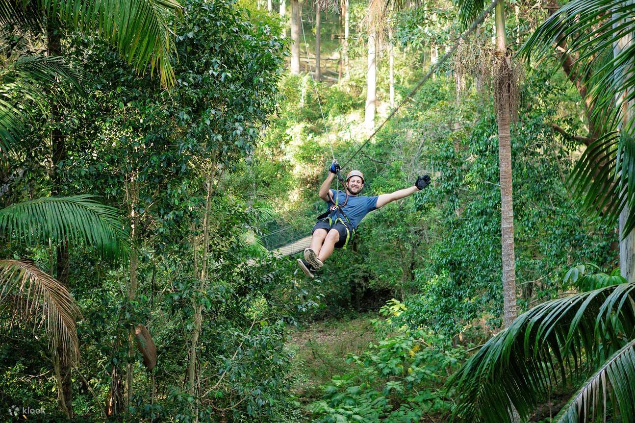 Cabaran TreeTop di Gunung Tamborine dari Gold Coast Klook Amerika