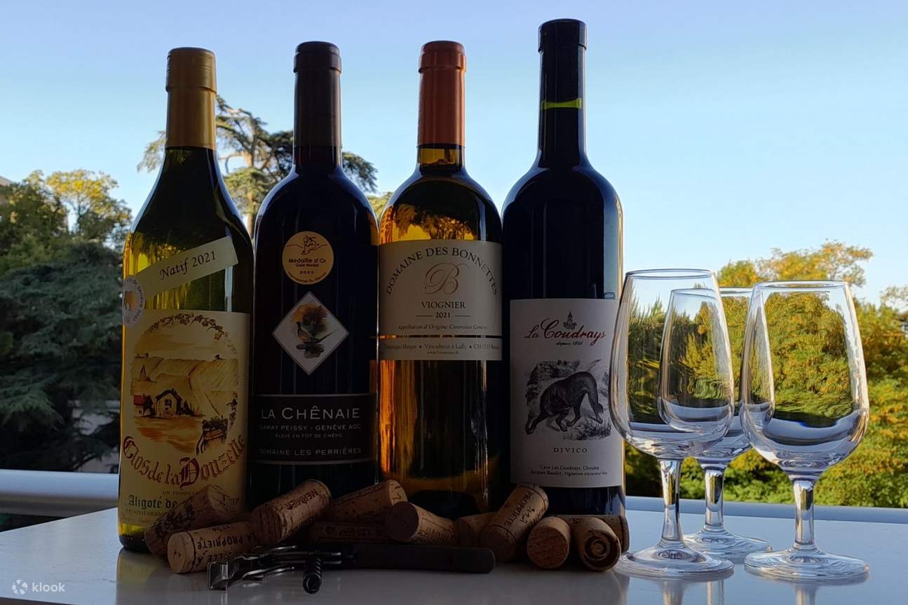 Wine And Swiss Cheese Tasting Experience in Geneva Klook