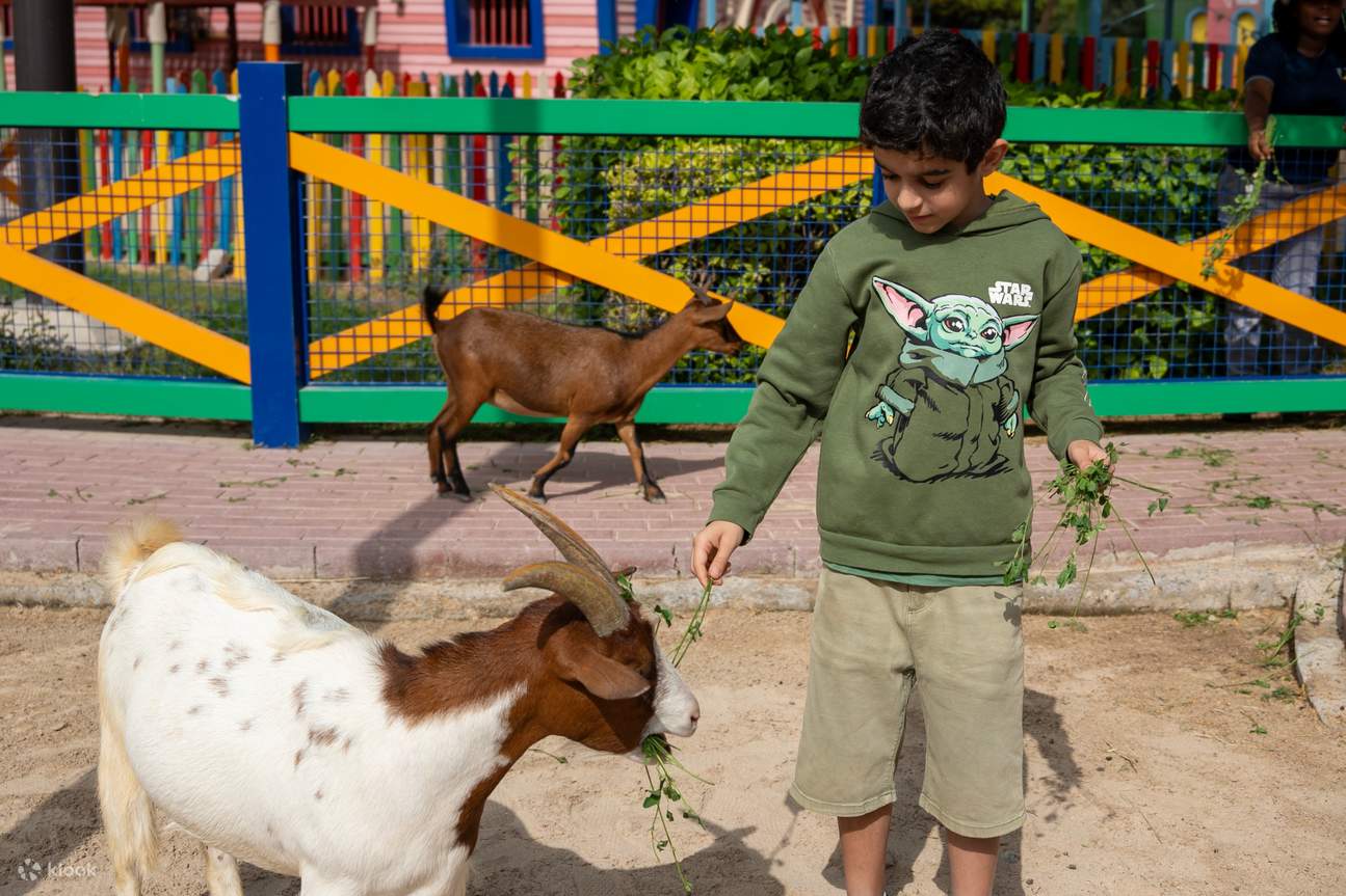Vé Dubai Safari Park