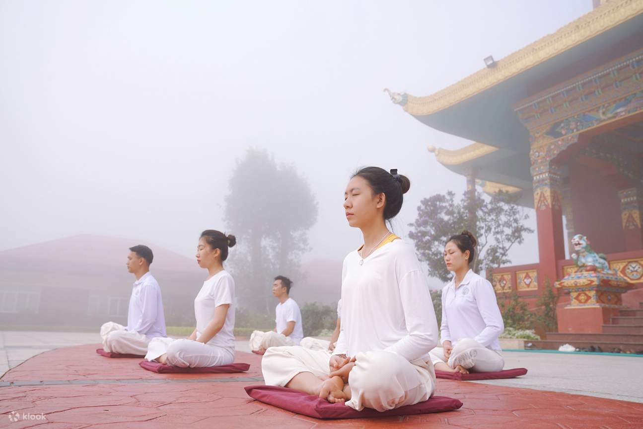 在冥想課程中，跟隨經驗豐富的老師，透過正念練習，找回內心的平靜與活力