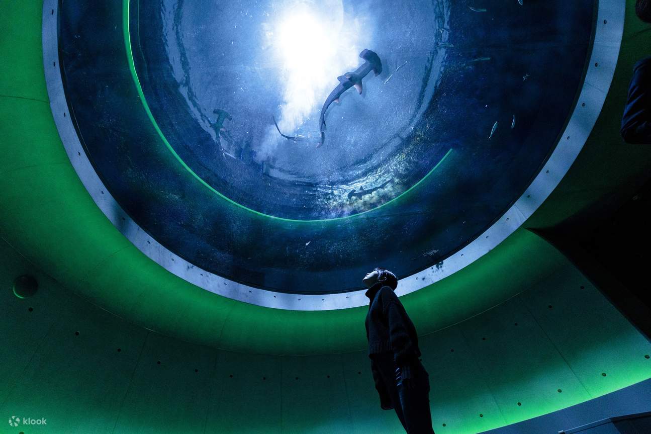 四国水族馆