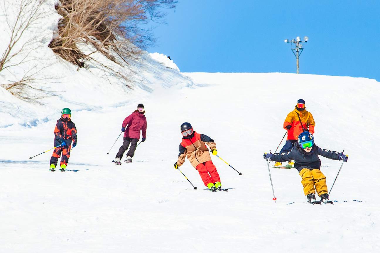From snowy mountain debut to powder riding! Online reservation for ...