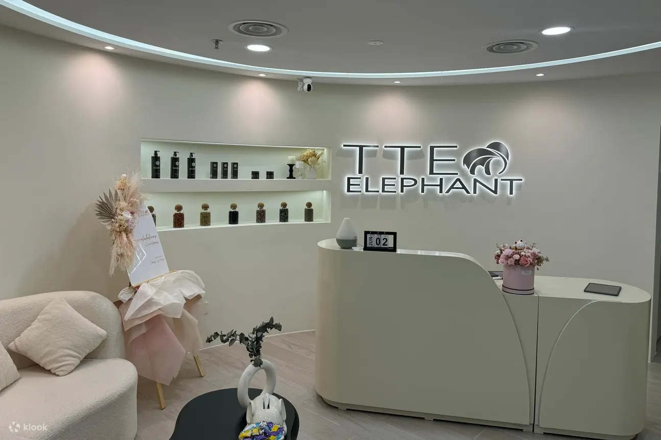 在谷中城首屈一指的头部水疗胜地 TTE Elephant 体验焕发活力的体验