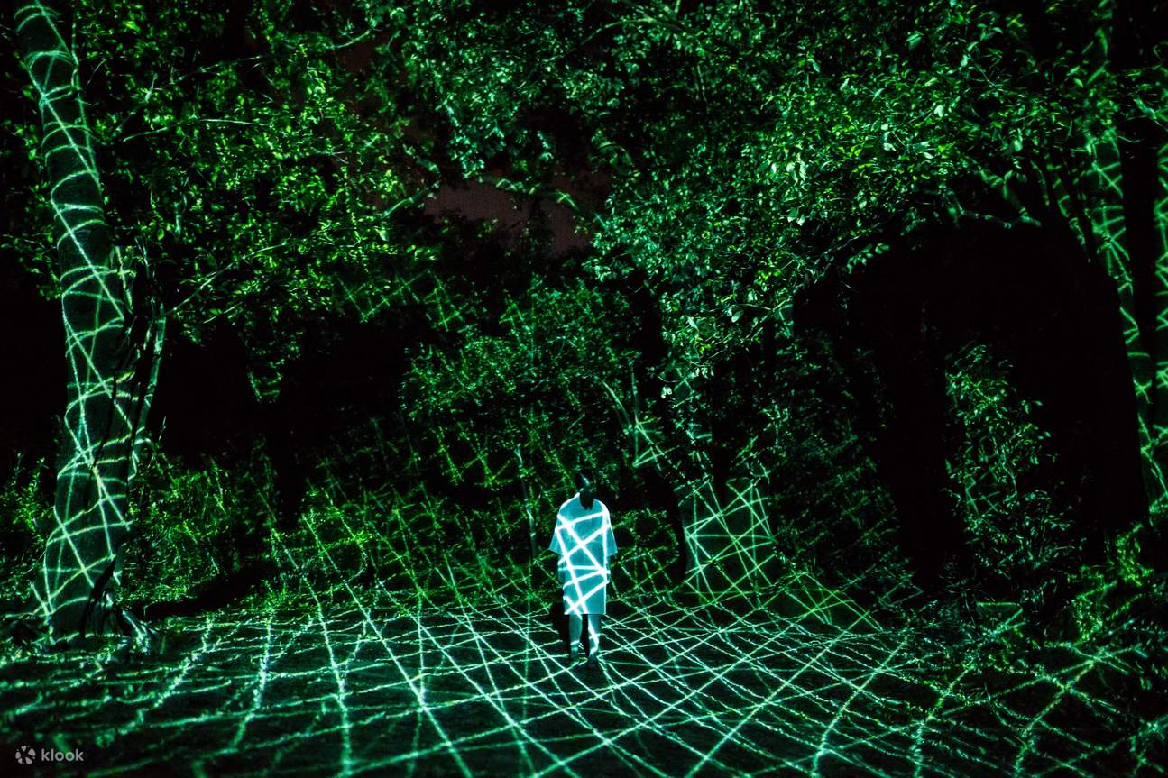 Réservez vos billets pour teamLab Botanical Garden Osaka - Klook États-Unis