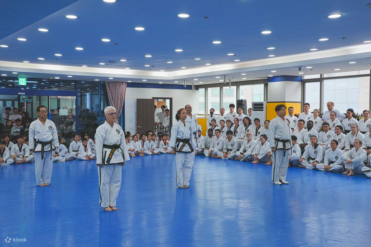Authentic Taekwondo Class in Ilsan Gyeonggi near Seoul - Klook