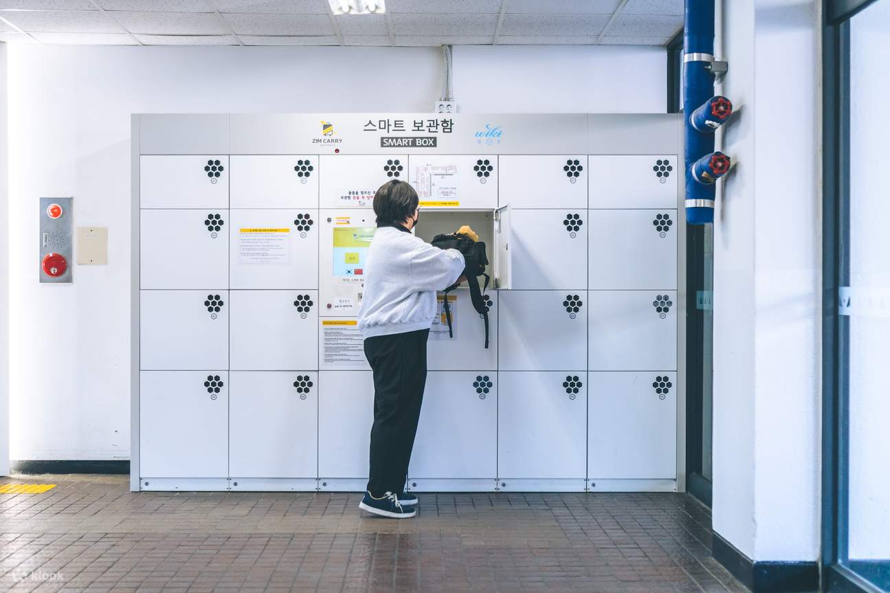 Daegu Luggage Delivery Service: From/To Dongdaegu KTX Station