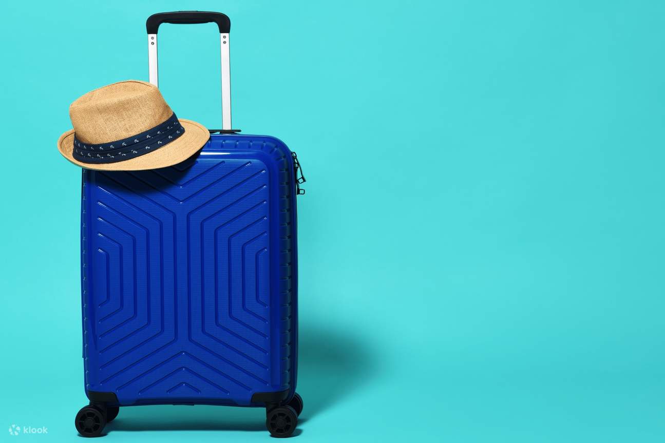 Frankfurt 1 Day Luggage Storage Service Klook