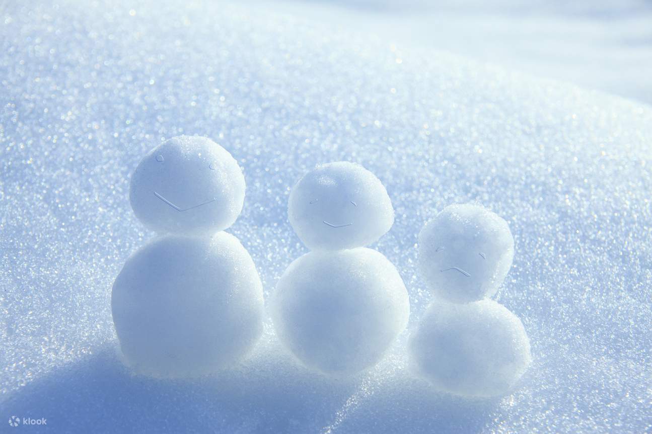 雪原游玩与羊毛工艺体验（含午餐）