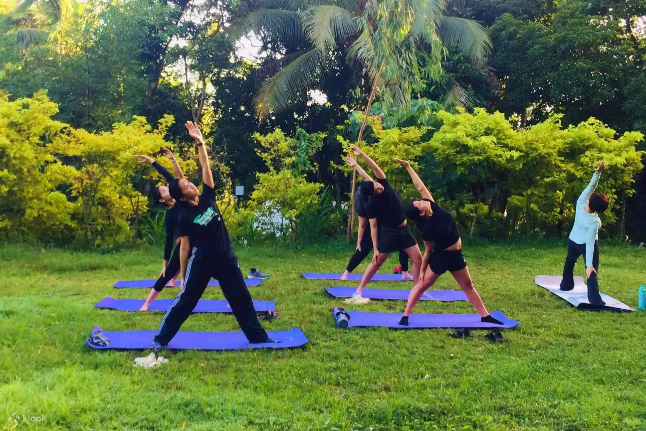 Shanti Wellness Sanctuary 八打雁瑜珈课