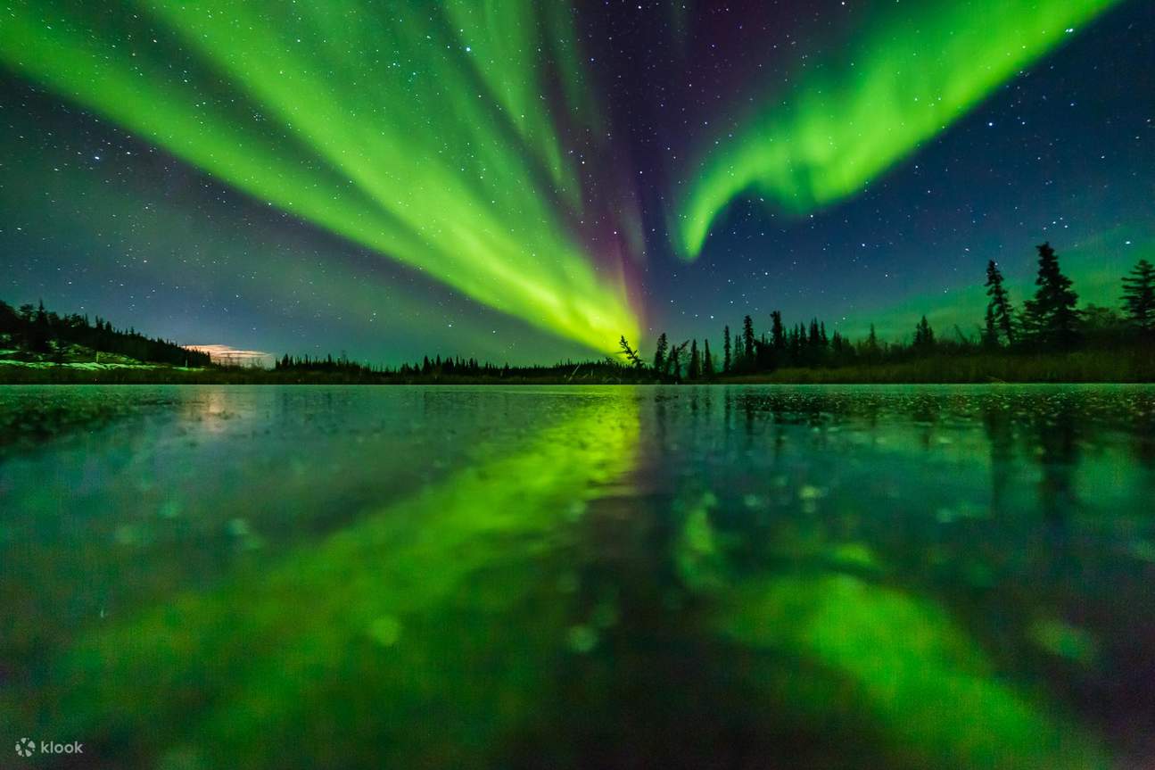 Nächtliches lappländisches Barbecue