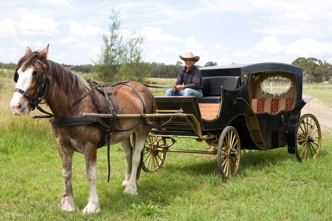 Private Couple's Horse Carriage Wine Tour in Hunter Valley - Klook Philippines
