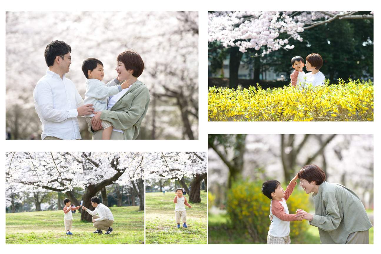 照片拍攝（可遠赴富士山、輕井澤、鎌倉、川越等地）