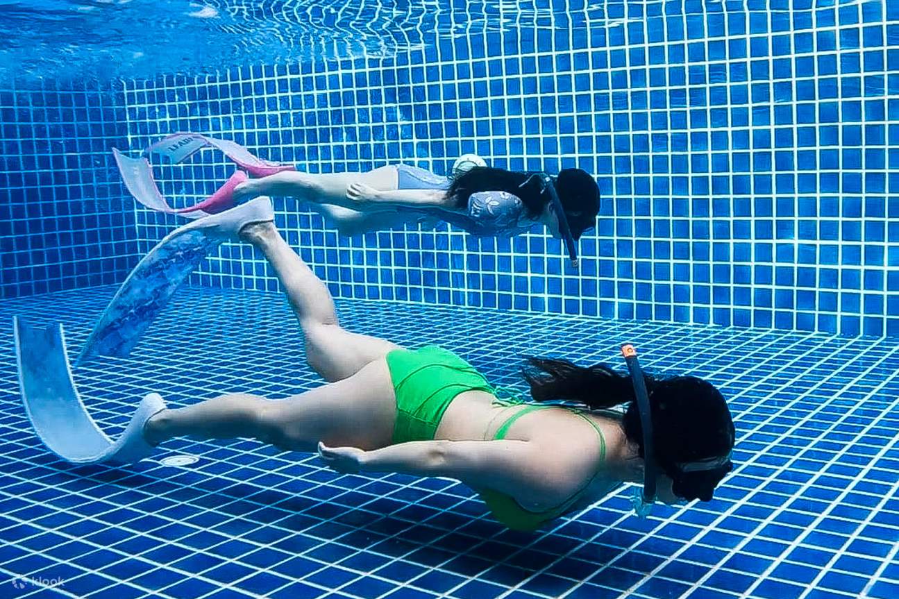 Curso de Freediving para principiantes