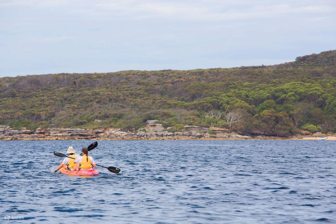 Manly Beach Kayaking Tour Klook