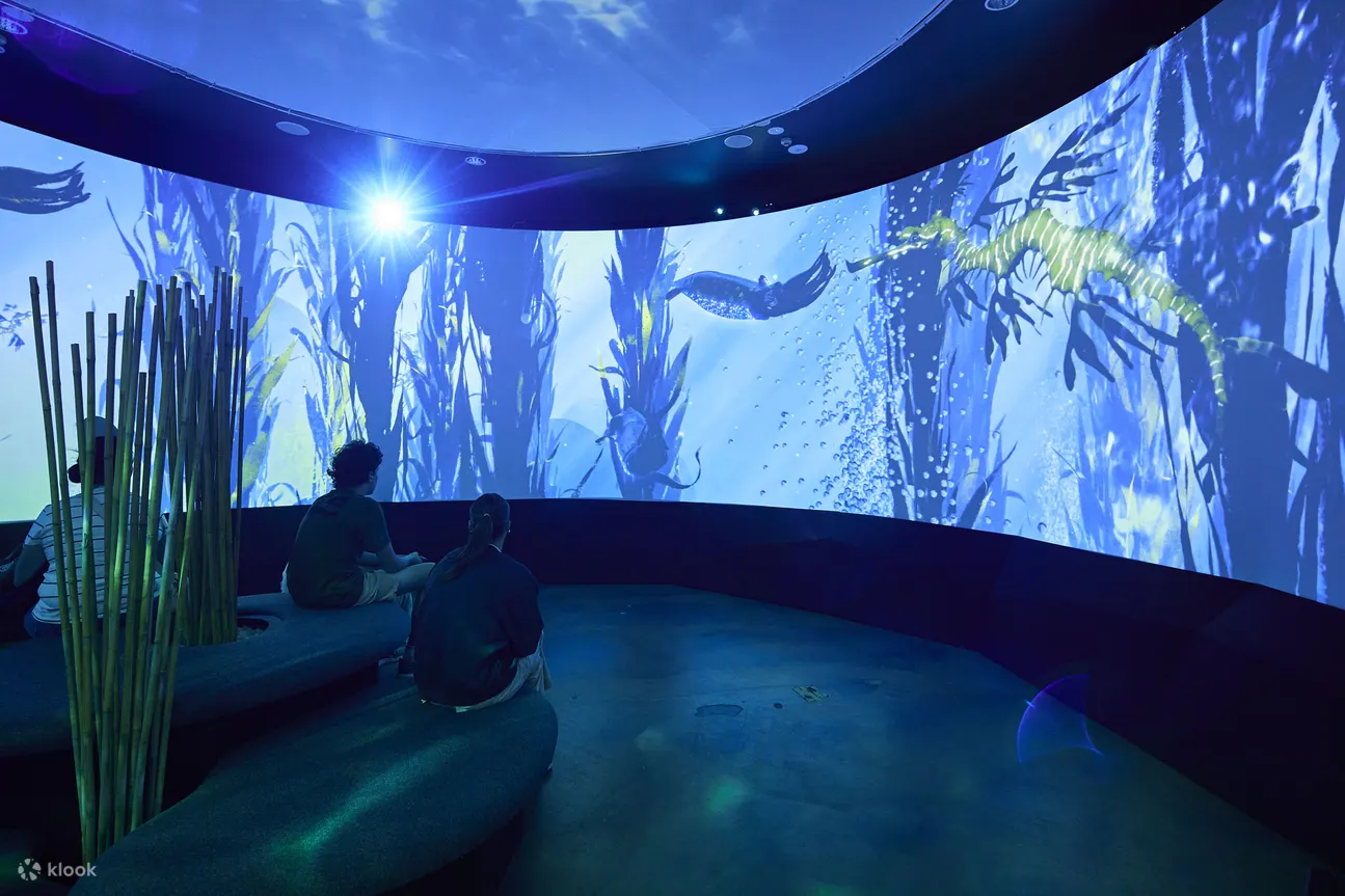 墨尔本海洋生物馆 - 墨尔本海洋生物馆数位萤幕
