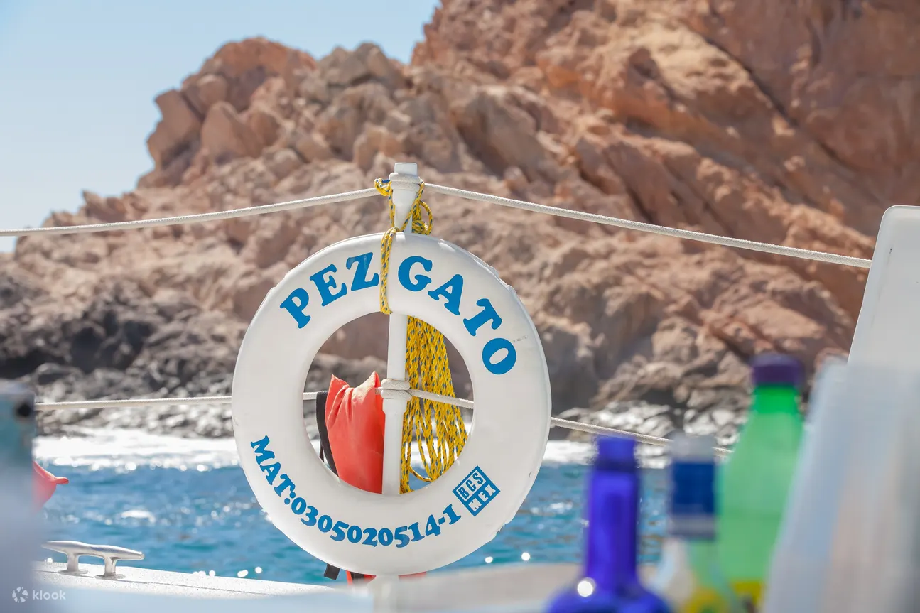 与 Pez Gato 一起浮潜
