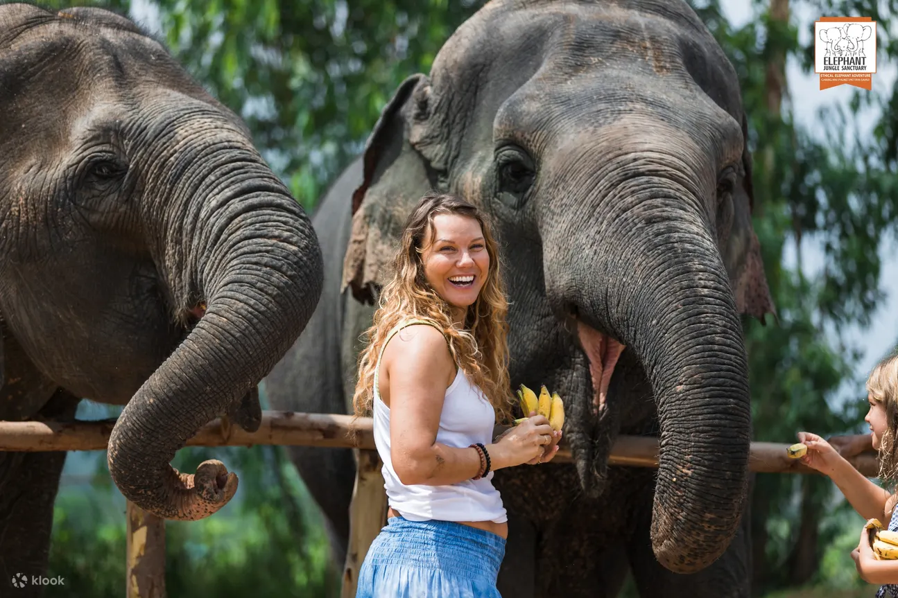 Enjoy the time with Elephant