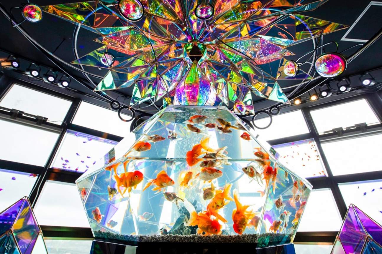 Kimono Rental & Town Exploration