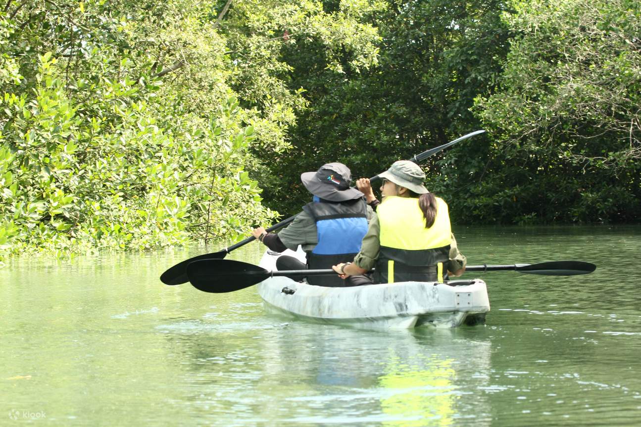 Aventura en kayak por el río con traslado dentro de Desaru - Johor
