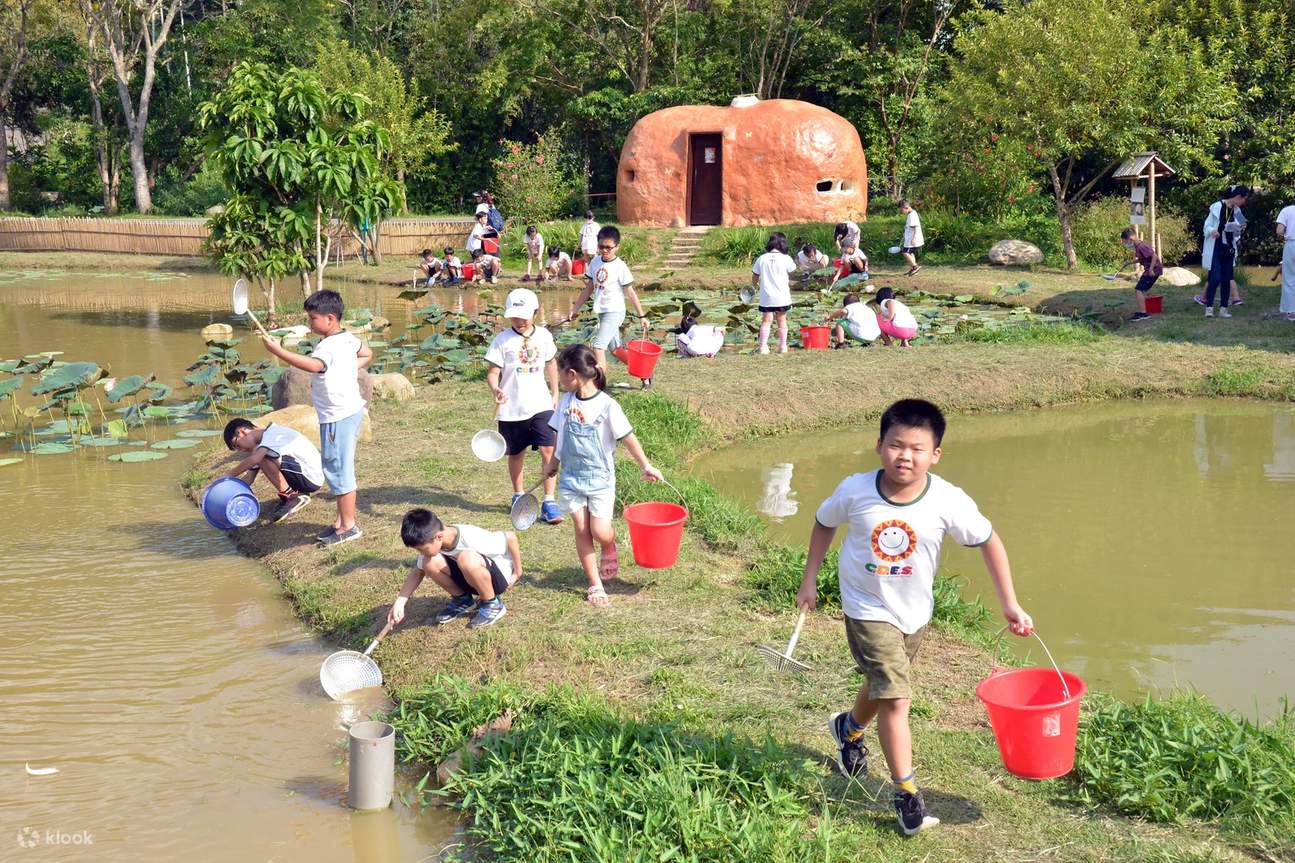 [Pequeños detectives de la ecología] Experiencia ambiental 