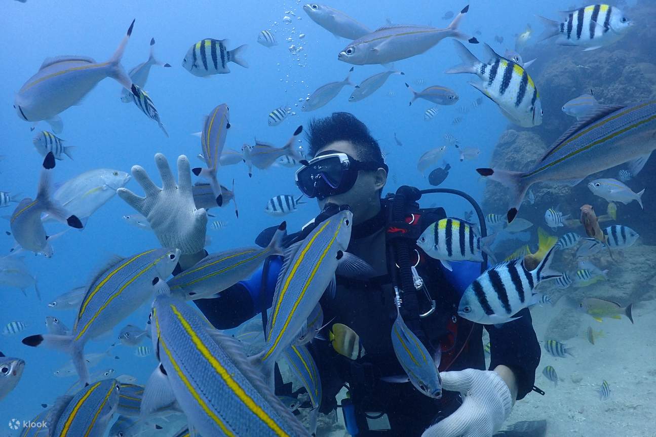 Pingtung Kenting Nanyong Diving Center Diving Experience・PADI Beginner ...