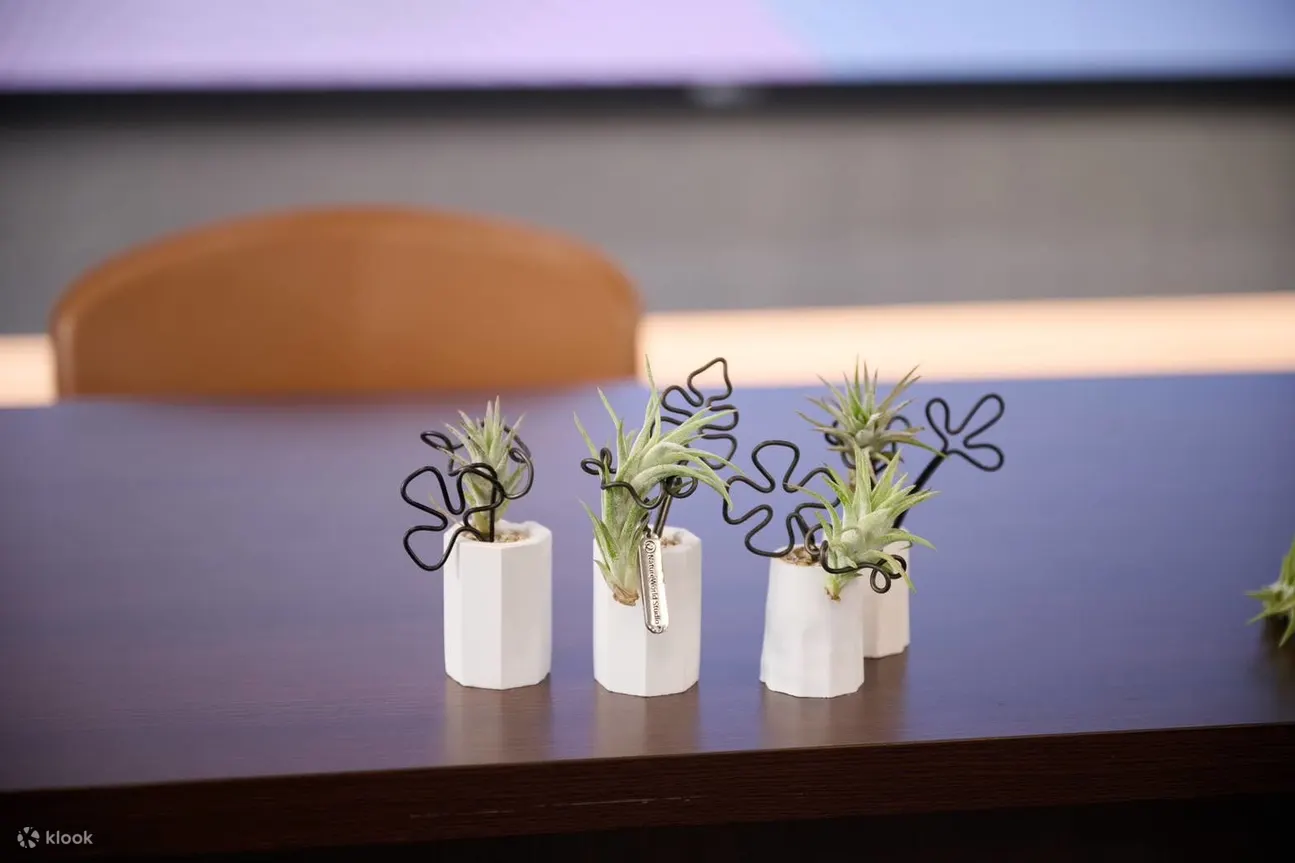 台北: 原生态工作室 - 花艺 & 植物生态瓶 & 多肉青苔球疗愈植栽 (需电话预约)