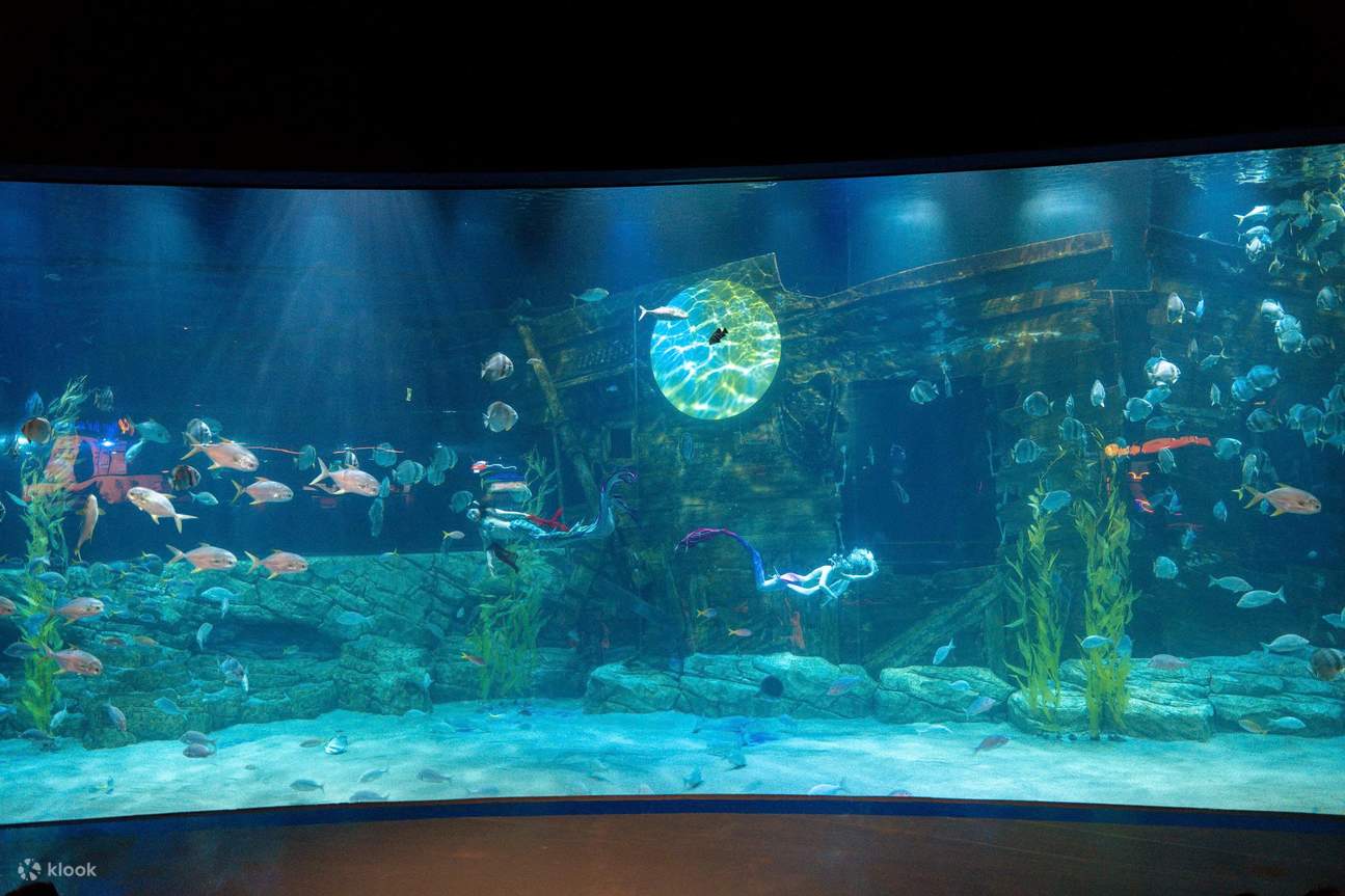 Biglietto per Lotte World Aquarium Hanoi
