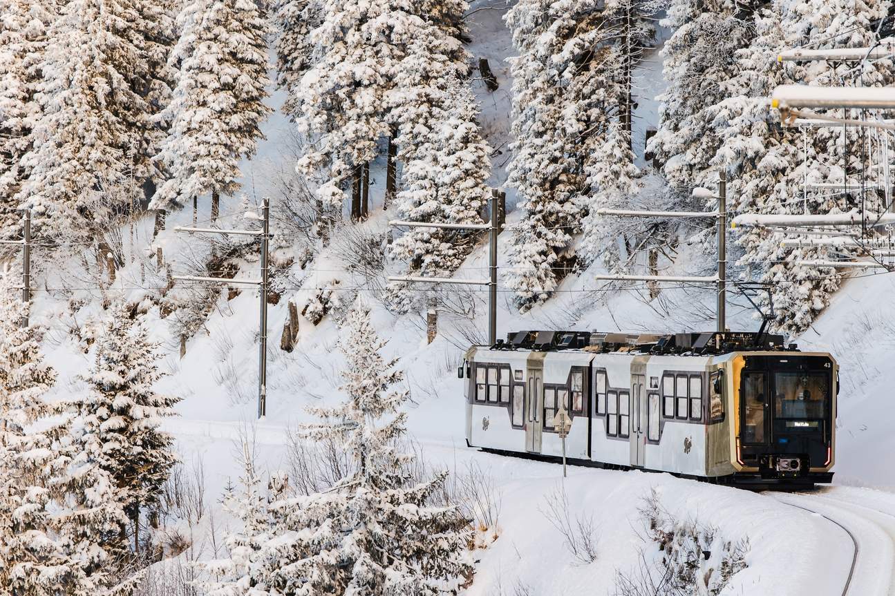 Monte Rigi - Biglietto Regina delle Montagne