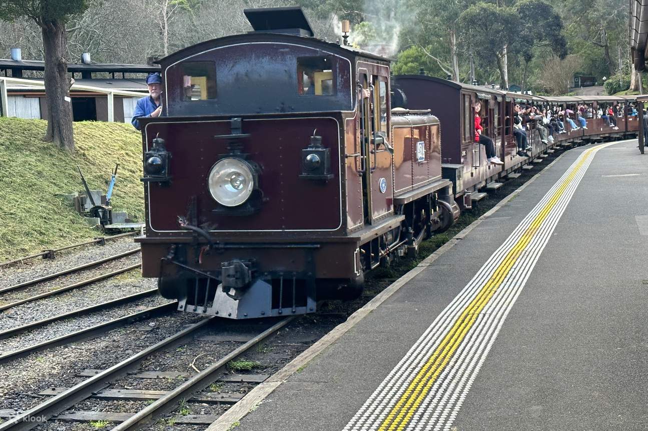 Puffing Billy and Phillip Island Wildlife Day Tour from Melbourne ...