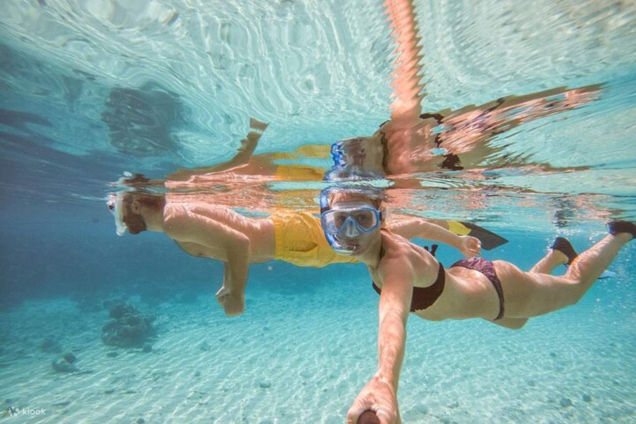Excursion de plongée avec tuba aux îles Hamata et Qulaan avec déjeuner et transfert - Marsa Alam