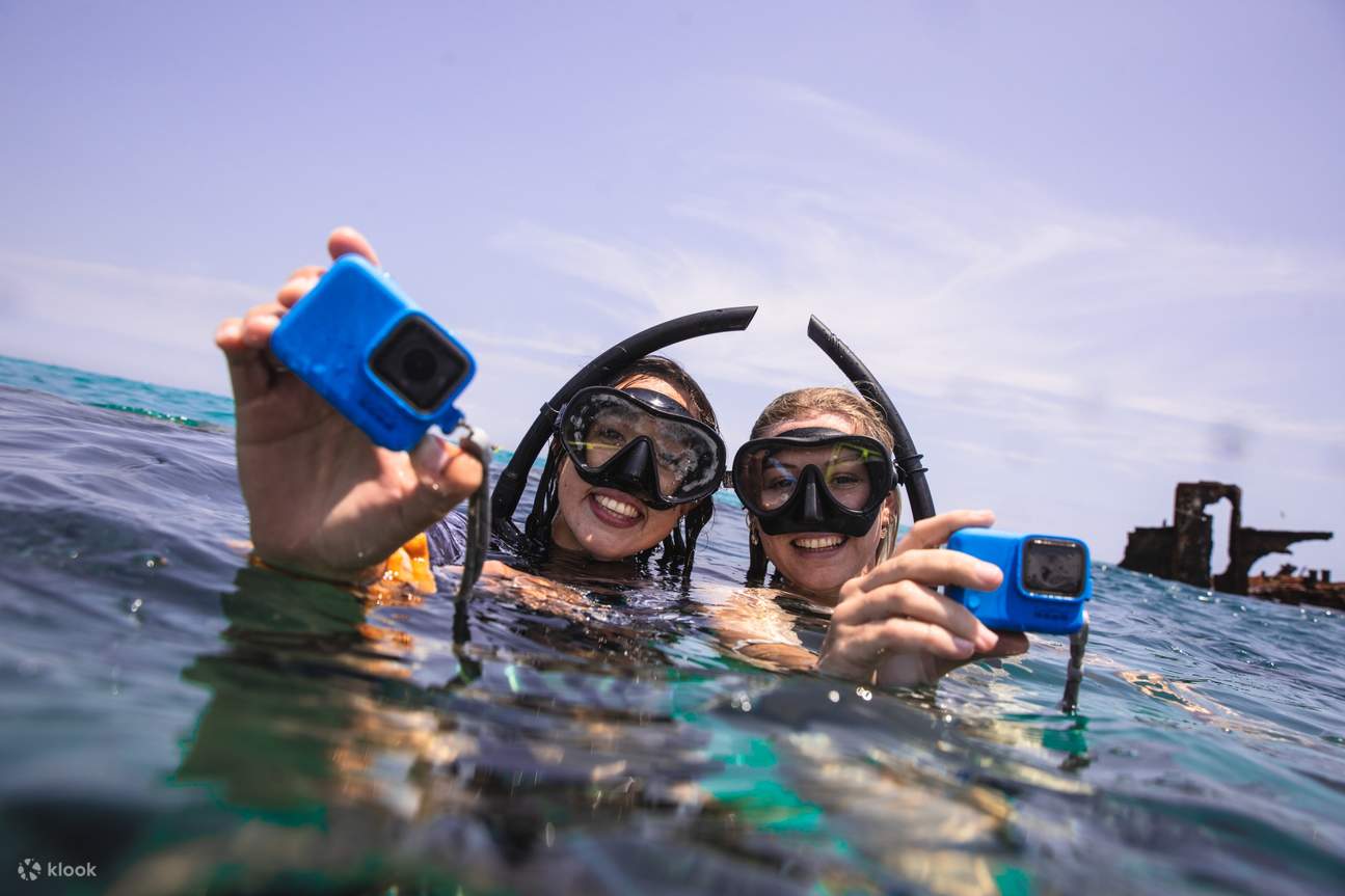 Dolphin & Tangalooma Wreck Snorkelling Cruise from Gold Coast Klook