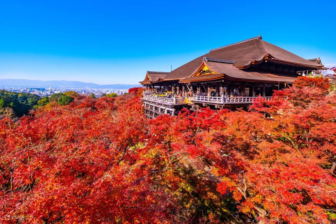 伏見稲荷大社・嵐山・清水寺 寺社巡りツアー(大阪発) | Klook