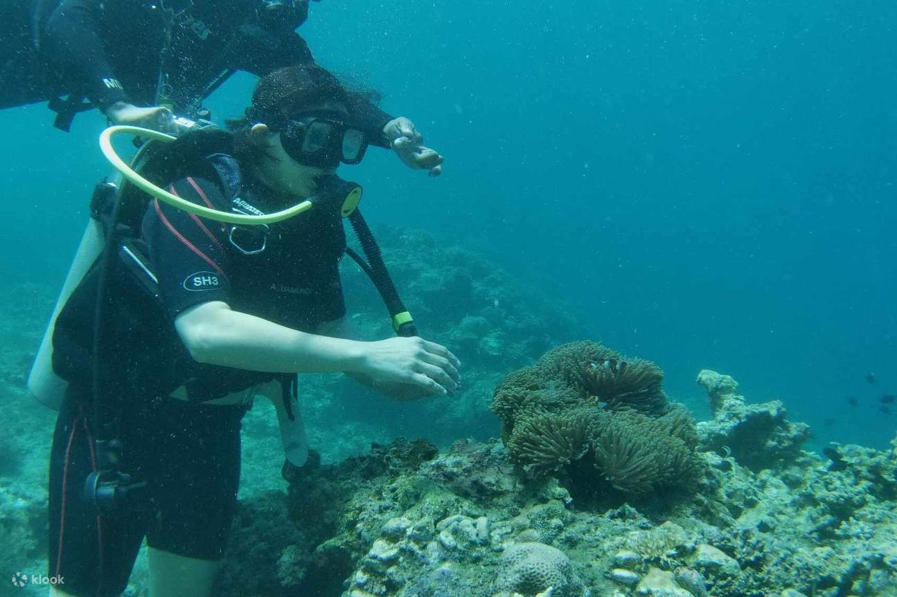 Lawatan Menyelam Anilao dari Manila