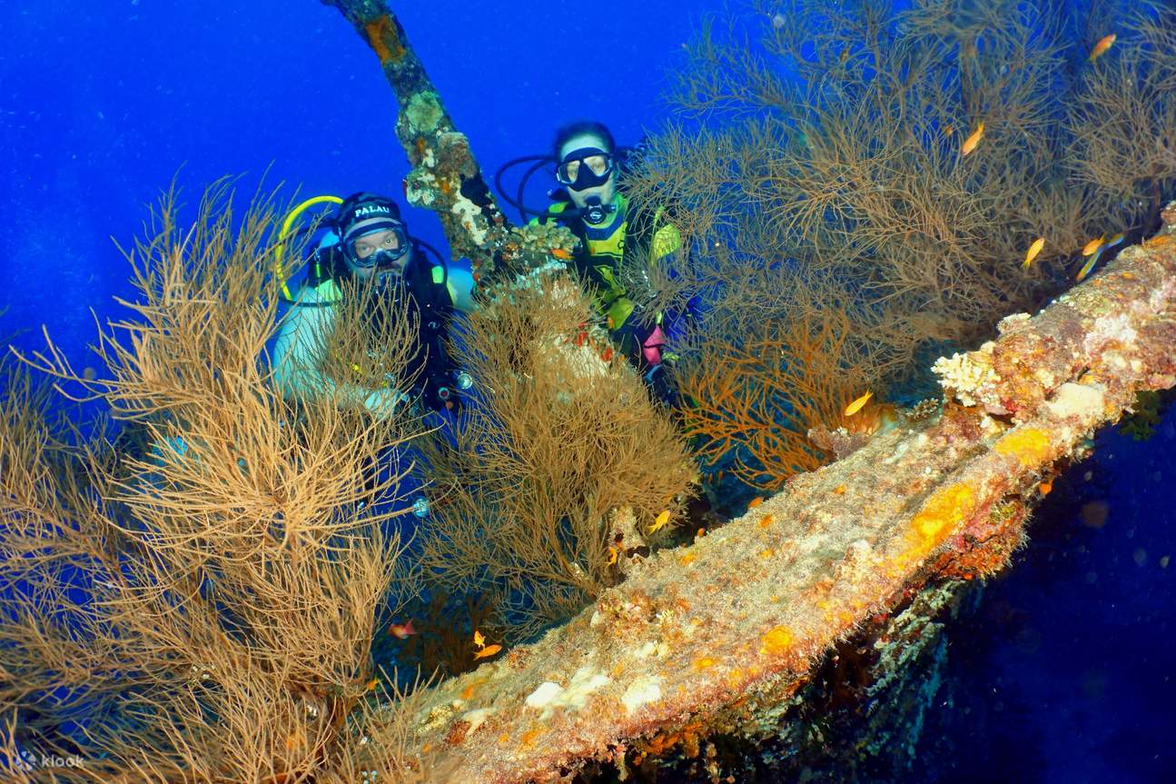 PADI Advanced Open Water Diver [eLearning]