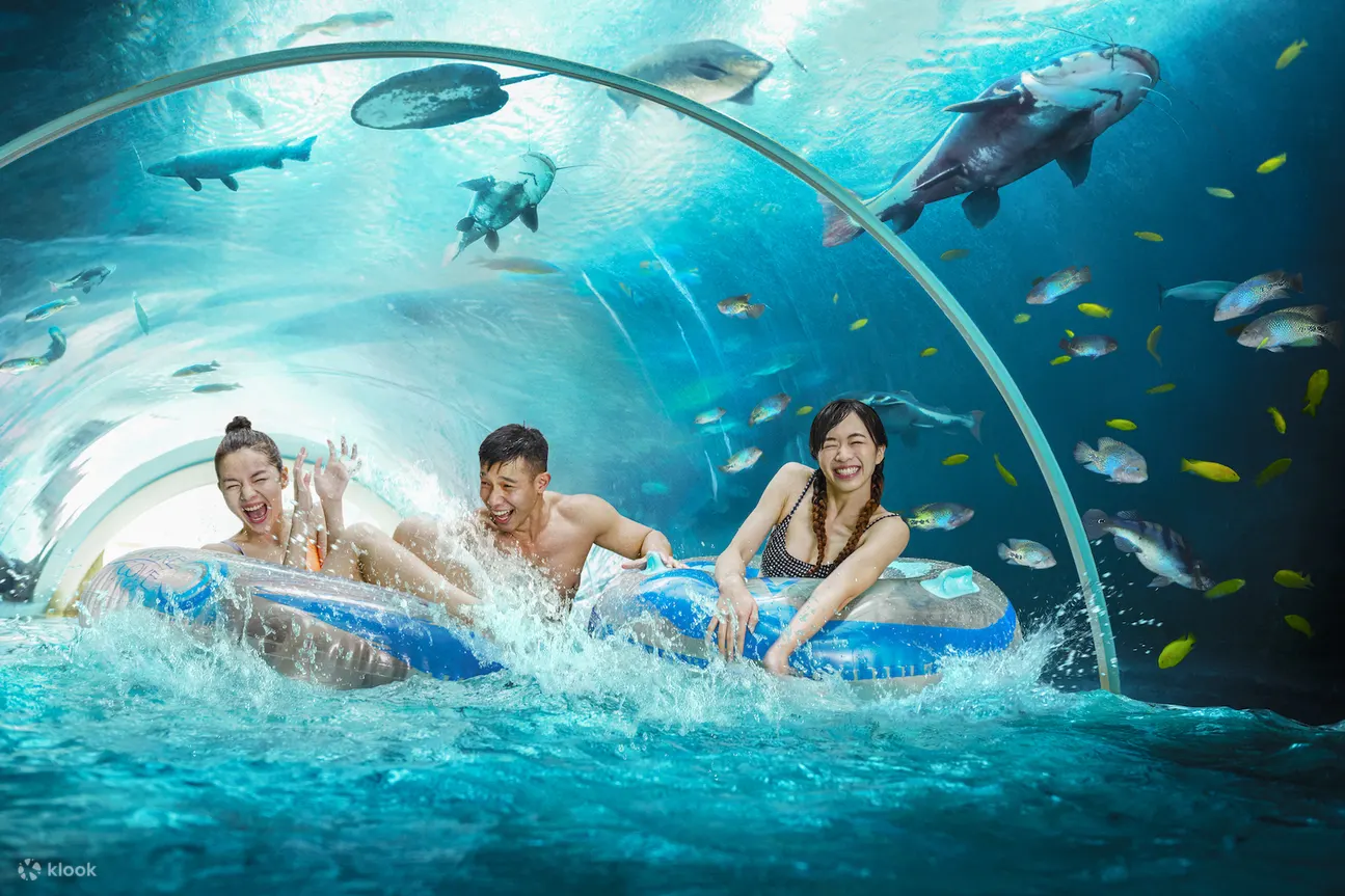 vé công viên nước Adventure Cove Singapore