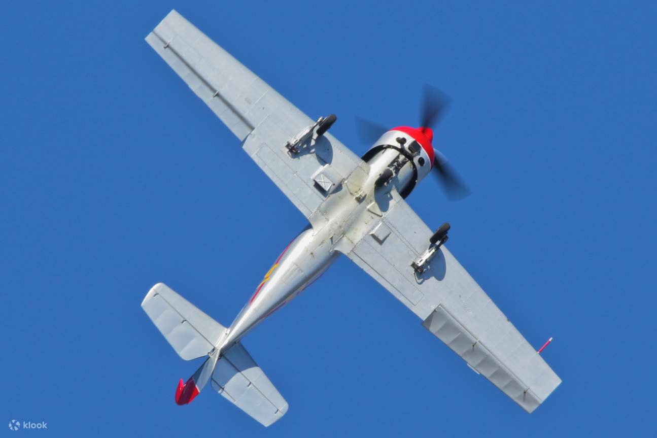Aerobatic Hunter Valley Warbird Adventure Flight