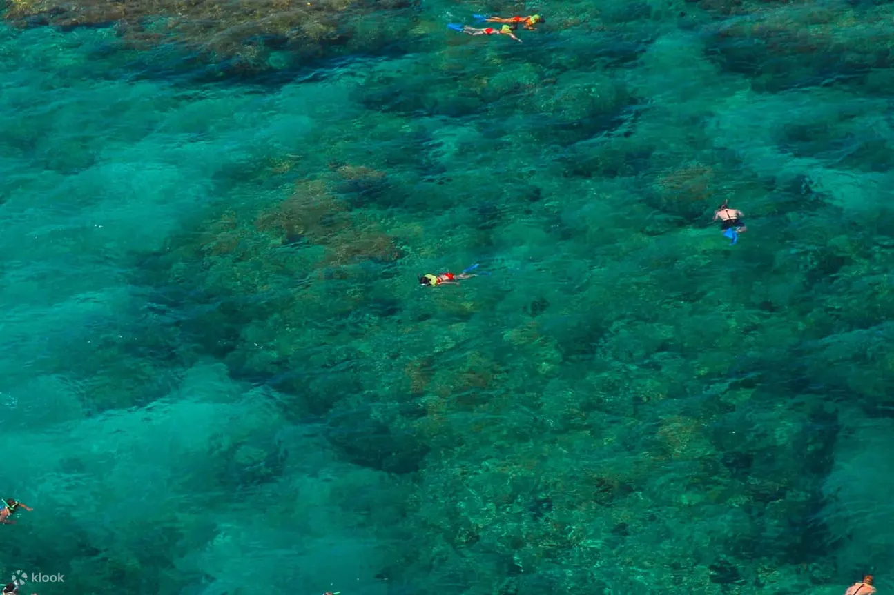 沉浸在美丽的基韦斯特海清澈的海水中